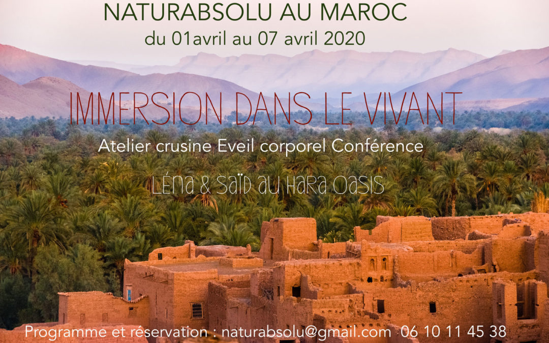 Stage d’avril au Maroc